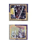 كشتي ارباب حلقه ها