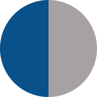 blue-silver